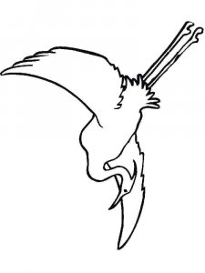 Egret coloring page - picture 13