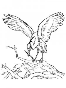 Egret coloring page - picture 14