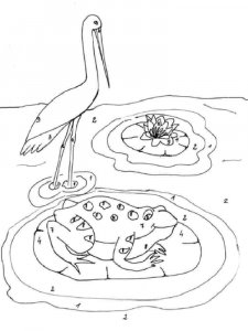 Egret coloring page - picture 2