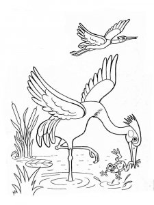 Egret coloring page - picture 3