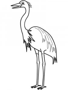 Egret coloring page - picture 6