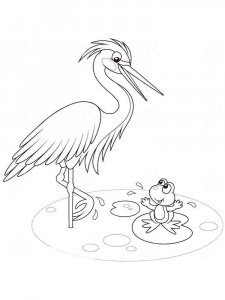 Egret coloring page - picture 9
