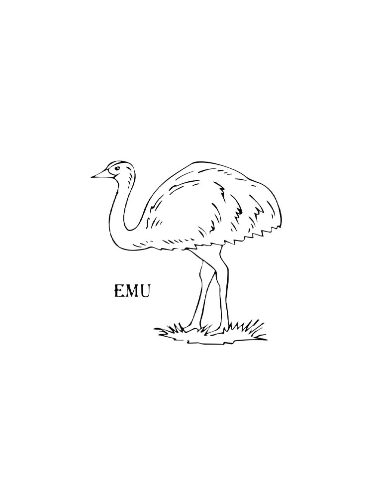 Emu coloring pages. Download and print Emu coloring pages