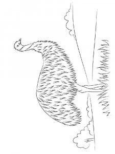 Emu coloring page - picture 3