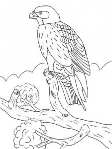 Falcon coloring page - picture 4