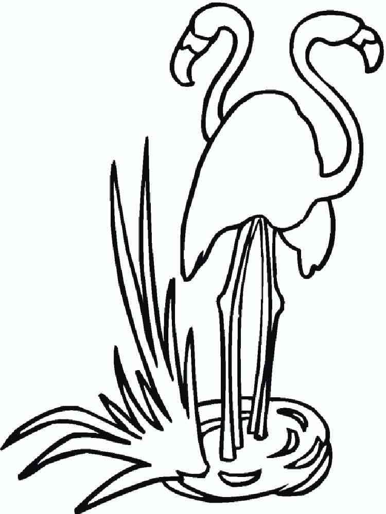 flamingo coloring pages download and print flamingo