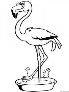 Flamingo coloring page - picture 1