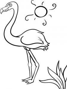 Flamingo coloring page - picture 10