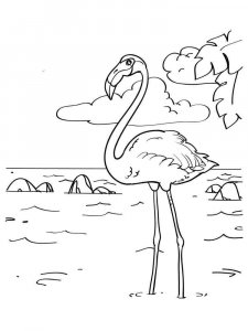 Flamingo coloring page - picture 12