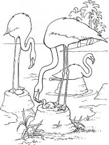 Flamingo coloring page - picture 14