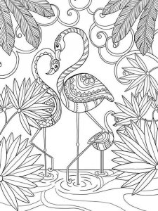 Flamingo coloring page - picture 16