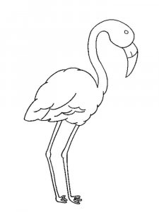 Flamingo coloring page - picture 18