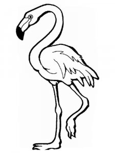 Flamingo coloring page - picture 20