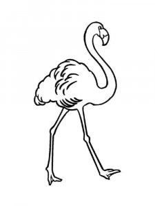 Flamingo coloring page - picture 21