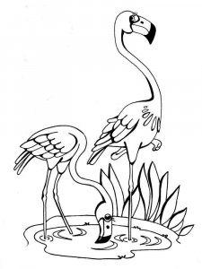 Flamingo coloring page - picture 22
