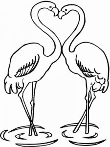 Flamingo coloring page - picture 3