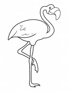 Flamingo coloring page - picture 23