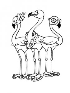 Flamingo coloring page - picture 33