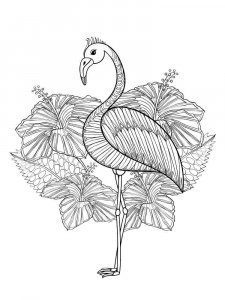Flamingo coloring page - picture 37