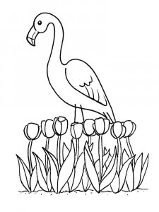 Flamingo coloring page - picture 38