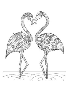 Flamingo coloring page - picture 39