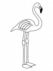 Flamingo coloring page - picture 40