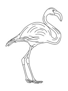 Flamingo coloring page - picture 26