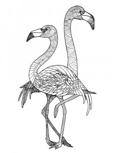 Flamingo coloring page - picture 28