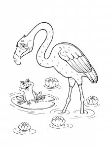 Flamingo coloring page - picture 29