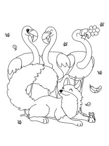 Flamingo coloring page - picture 30