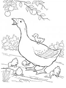 Goose coloring page - picture 10