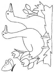 Goose coloring page - picture 13