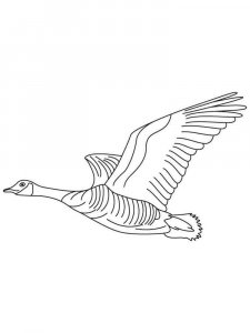 Goose coloring page - picture 6