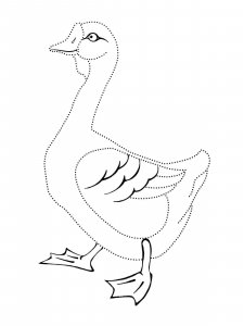 Goose coloring page - picture 30