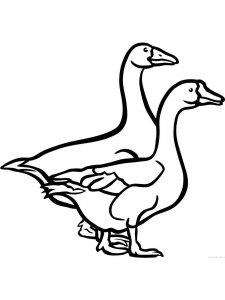 Goose coloring page - picture 29