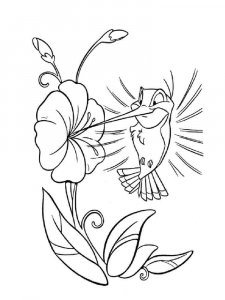 Hummingbird coloring page - picture 3