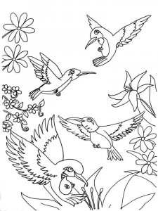 Hummingbird coloring page - picture 8