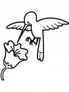 Hummingbird coloring page - picture 30