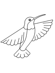 Hummingbird coloring page - picture 31