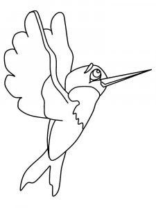 Hummingbird coloring page - picture 23