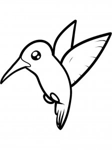 Hummingbird coloring page - picture 24