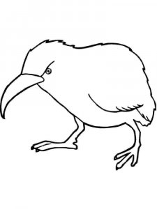 Kiwi bird coloring page - picture 10