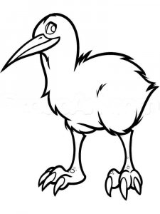 Kiwi bird coloring page - picture 5