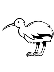Kiwi bird coloring page - picture 12