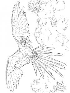 Macaw coloring page - picture 4