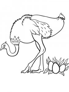 Ostrich coloring page - picture 17
