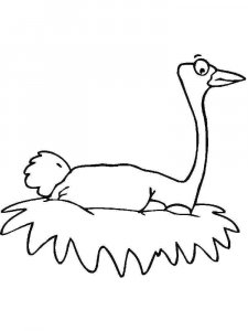 Ostrich coloring page - picture 19