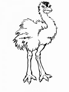 Ostrich coloring page - picture 3