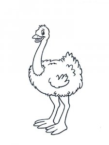 Ostrich coloring page - picture 7