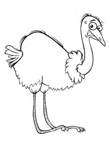 Ostrich coloring page - picture 30